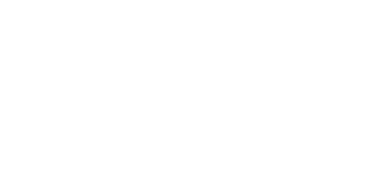 Panorama Logo